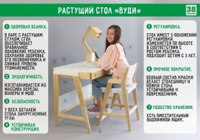 Комплект растущий стол и стул с чехлом 38 попугаев «Вуди» (Серый, Береза, Салют) в Казани - kazan.mebel-74.com | фото