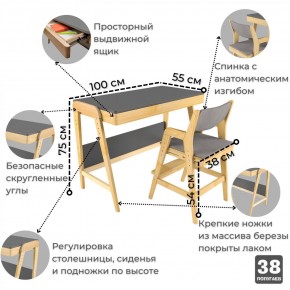 Комплект растущий стол и стул с чехлом 38 попугаев «Вуди» (Серый, Береза, Серый) в Казани - kazan.mebel-74.com | фото