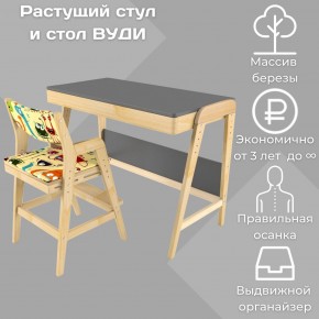 Комплект растущий стол и стул с чехлом 38 попугаев «Вуди» (Серый, Без покрытия, Монстры) в Казани - kazan.mebel-74.com | фото