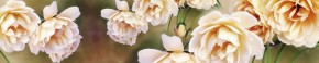 Кухонный фартук Цветы 066 МДФ матовый (3000) Flowers в Казани - kazan.mebel-74.com | фото