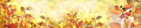 Кухонный фартук Цветы 318 МДФ матовый (3000) Flowers в Казани - kazan.mebel-74.com | фото
